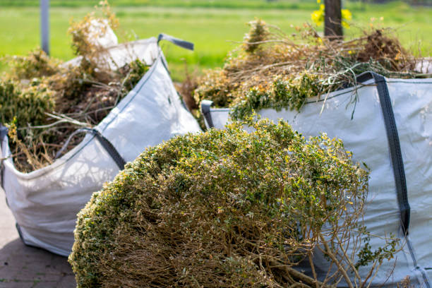 Best Yard Cleanup Services  in Pocahontas, IA